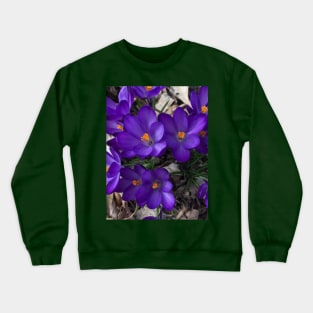 flower Crewneck Sweatshirt